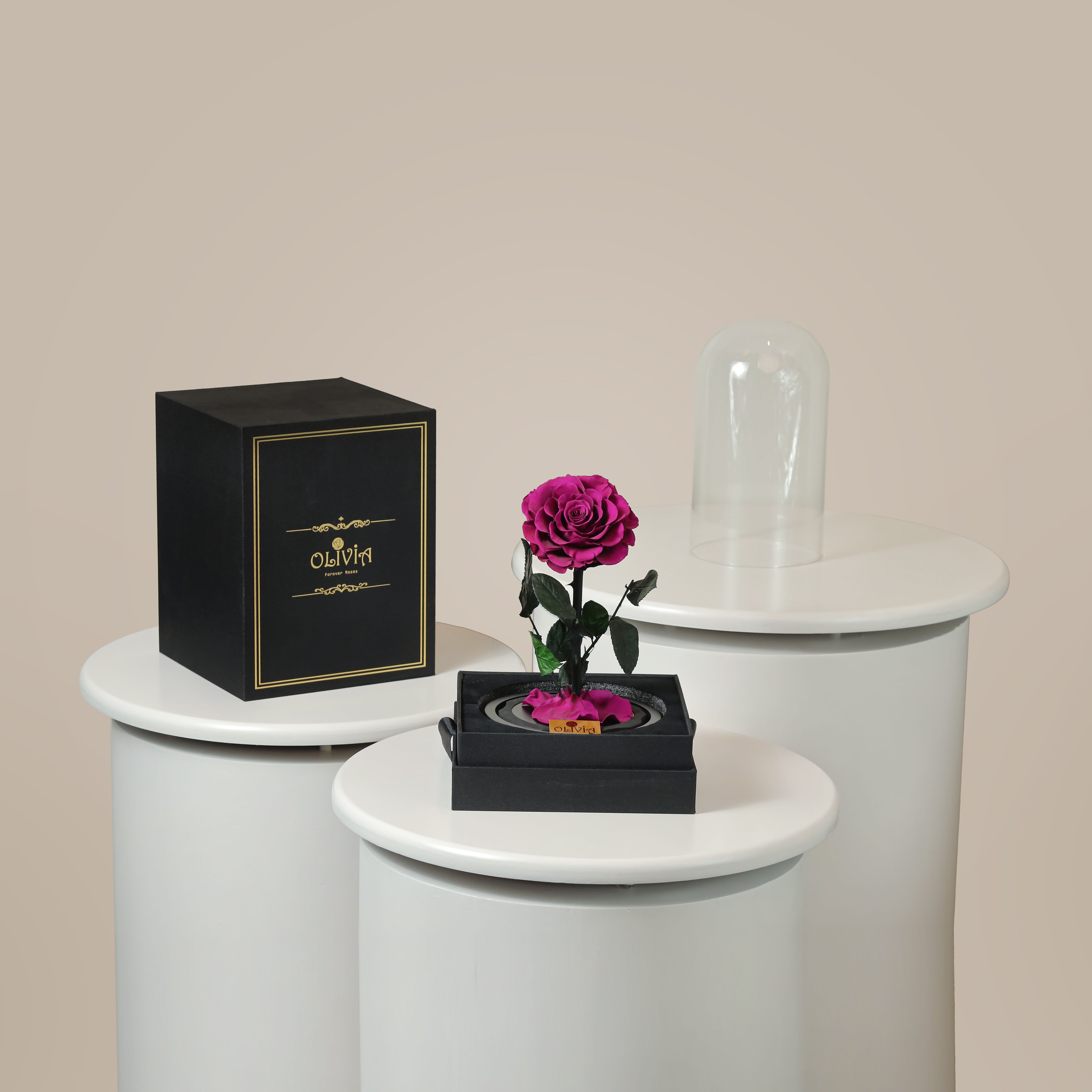 Purple  Forever Roses S