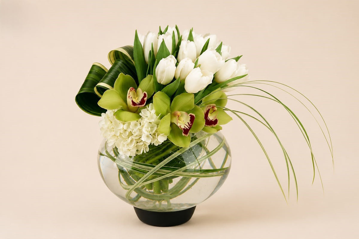 Orchid Serenity