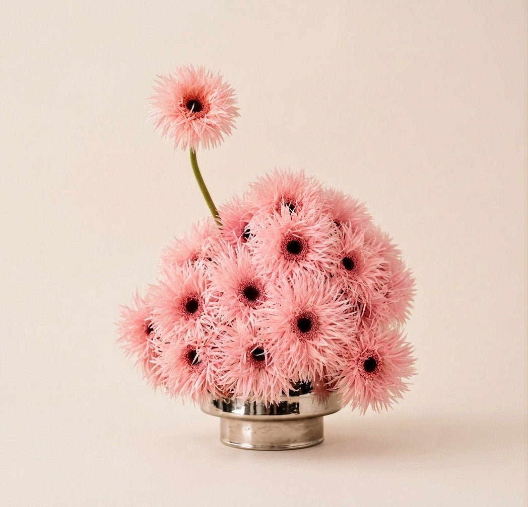 PRINCESS Gerbera PINK